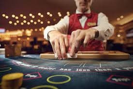 Studio live dealer Colok Naga di sawer55 dengan kamera HD dan antarmuka pemain yang intuitif